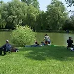 Kronikas Park Fogado Baks