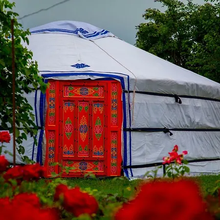 Kronikas Park Fogado 汽车旅馆 Baks