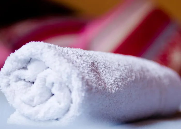 汽车旅馆 Kronikas Park Fogado Baks