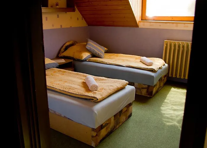 Kronikas Park Fogado 汽车旅馆