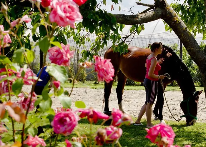 Kronikas Park Fogado 汽车旅馆 *