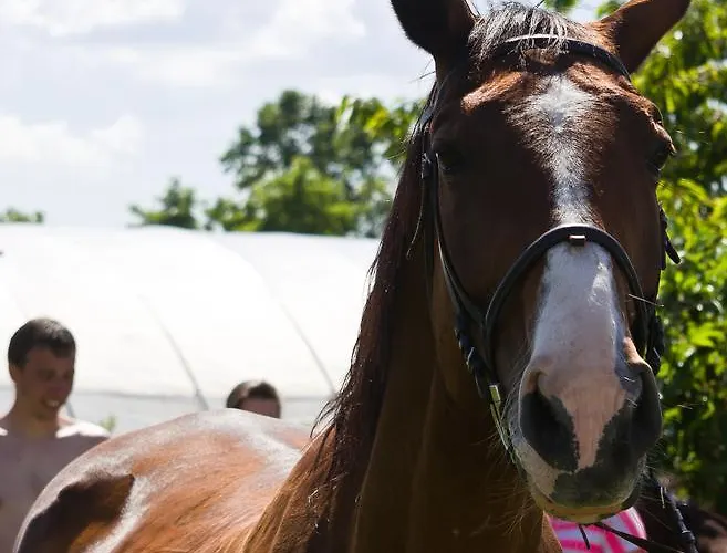Kronikas Park Fogado