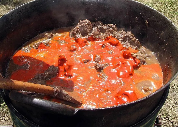 Kronikas Park Fogado 汽车旅馆 Baks