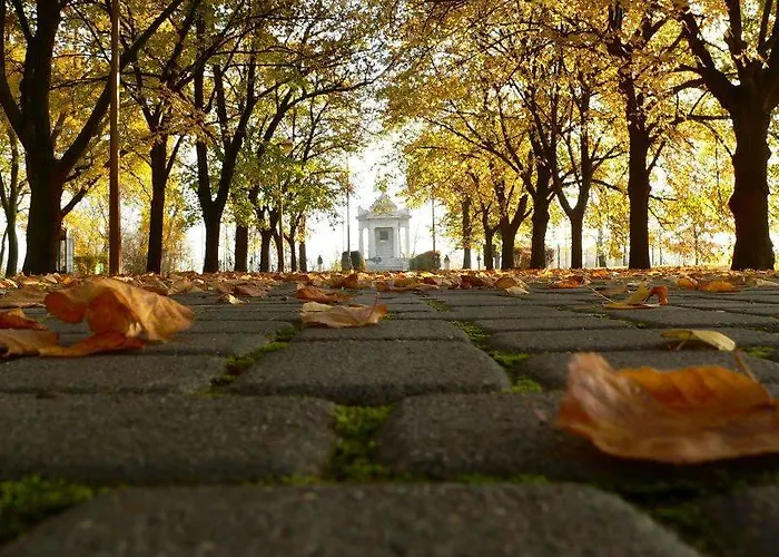 Kronikas Park Fogado 汽车旅馆 *