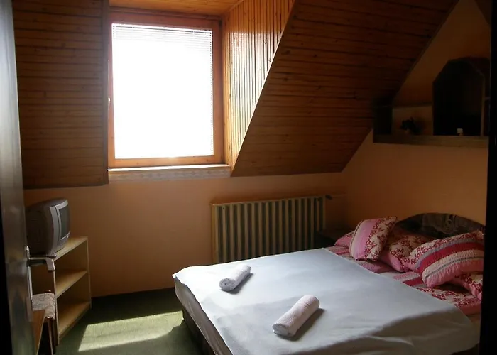 汽车旅馆 Kronikas Park Fogado Baks