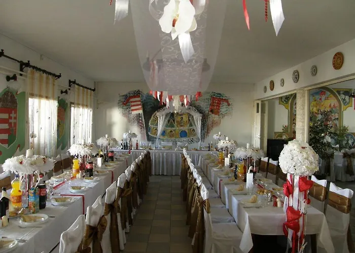 Kronikas Park Fogado 汽车旅馆 *