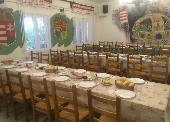 Kronikas Park Fogado 汽车旅馆 *