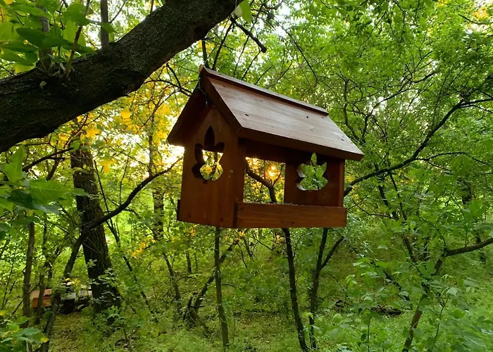 汽车旅馆 Kronikas Park Fogado Baks