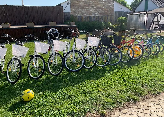 Kronikas Park Fogado 汽车旅馆